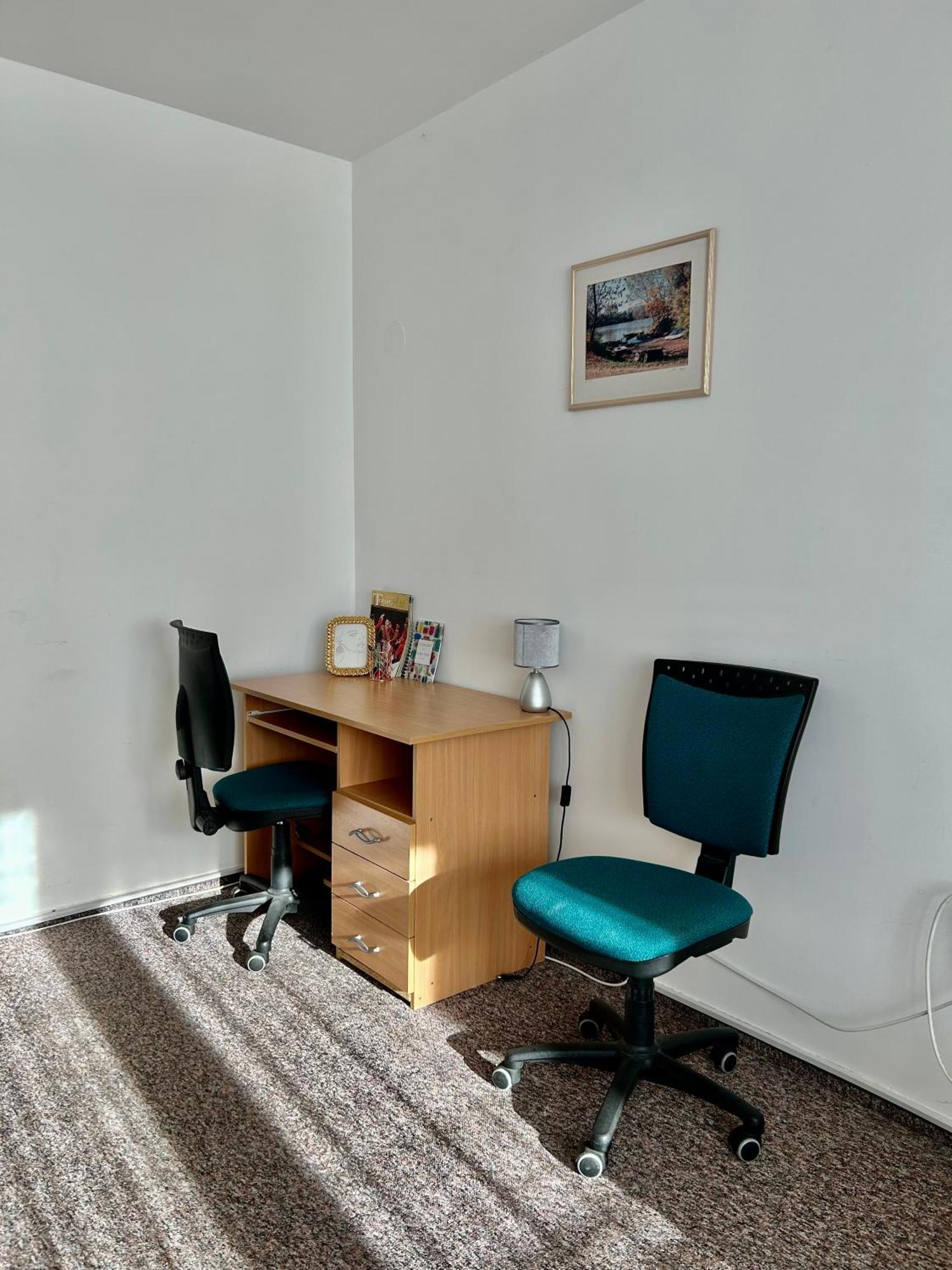 Cozy Apartment In The City Centre Next To Dom Square セゲド エクステリア 写真