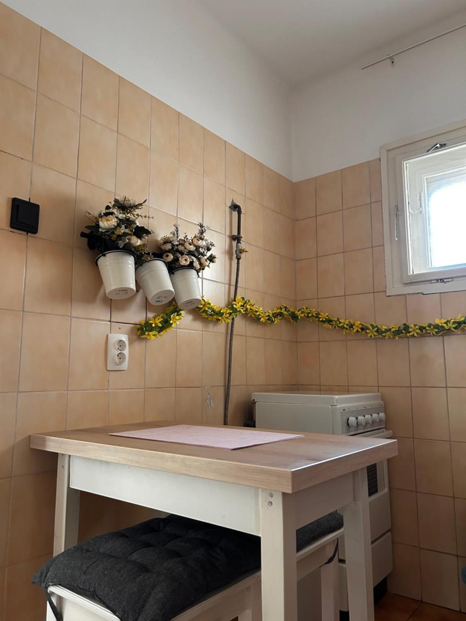 Cozy Apartment In The City Centre Next To Dom Square セゲド エクステリア 写真